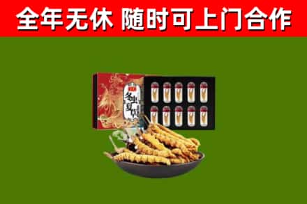锡山区回收冬虫夏草价格